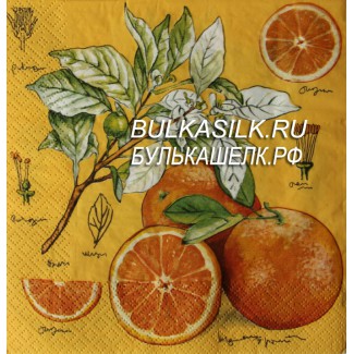 Апельсины с цветущей веткой
